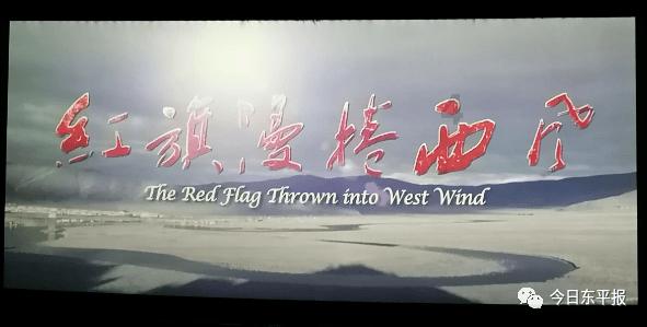 救援小蝙蝠